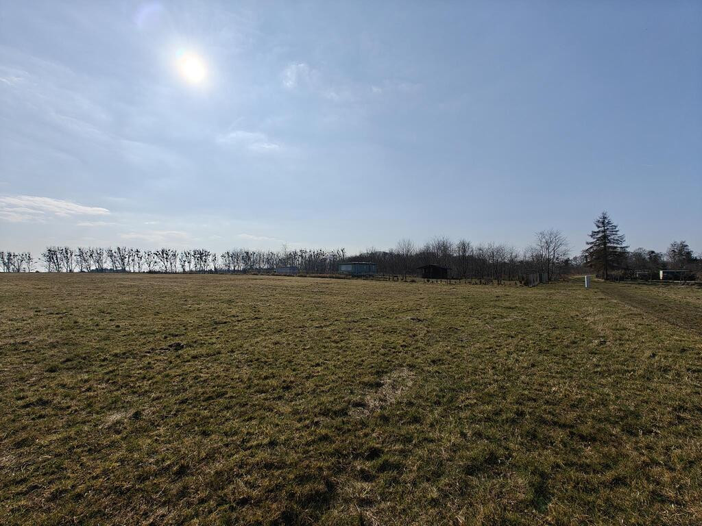 Działka Sprzedaż Żarnowo