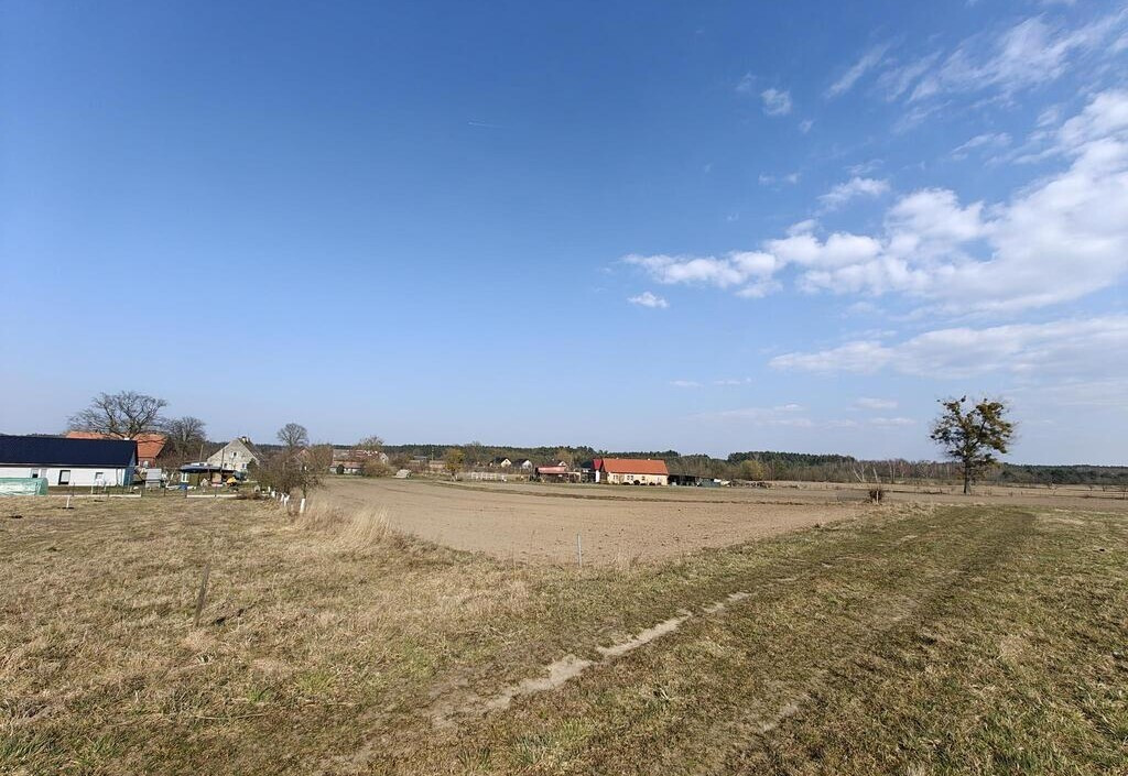 Działka Sprzedaż Stepnica 9