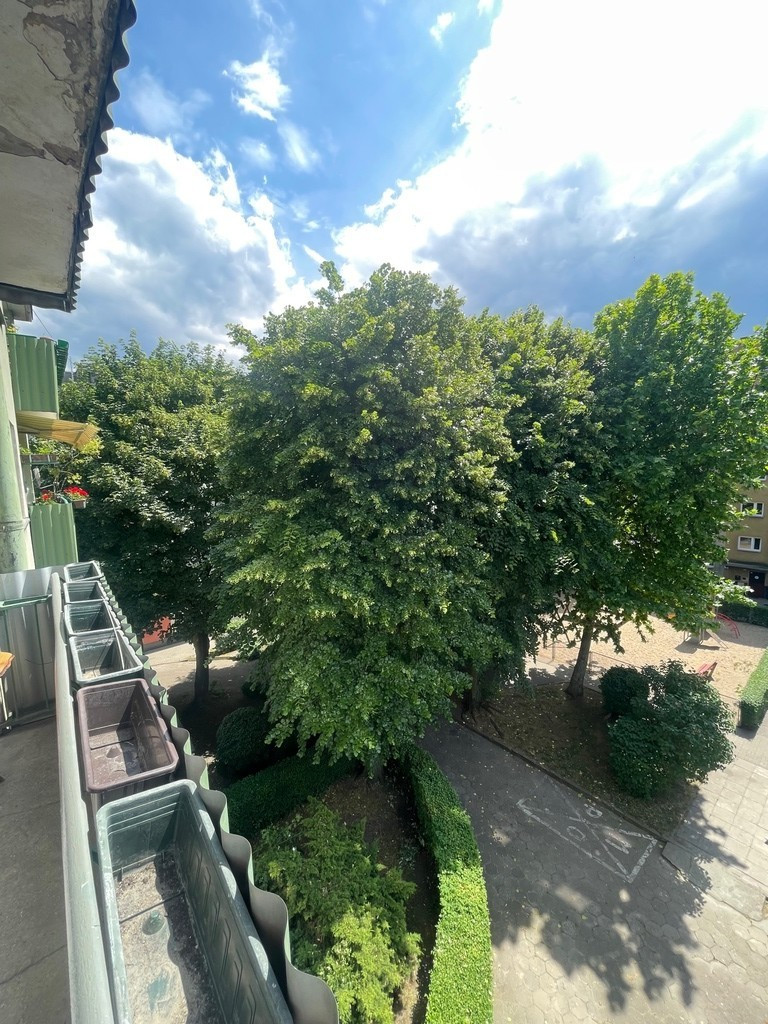 Mieszkanie Wynajem Szczecin Centrum Jana i Jędrzeja Śniadeckich