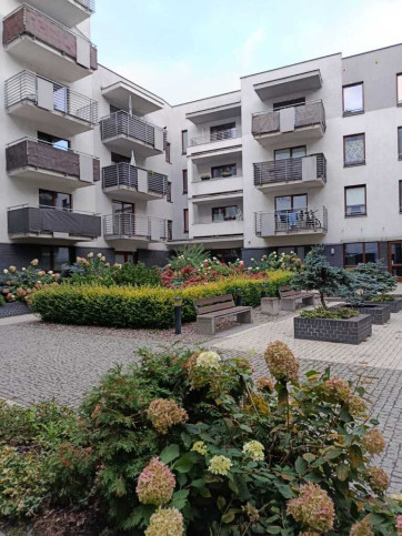 Mieszkanie Wynajem Szczecin Centrum &nbsp;arkowa 12