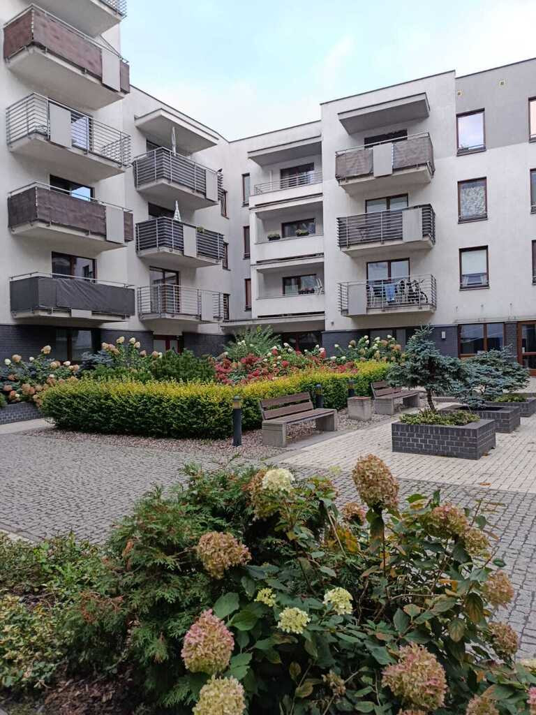 Mieszkanie Wynajem Szczecin Centrum &nbsp;arkowa