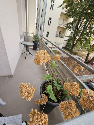 Mieszkanie Wynajem Szczecin Śródmieście-Centrum Księcia Bogusława X 4