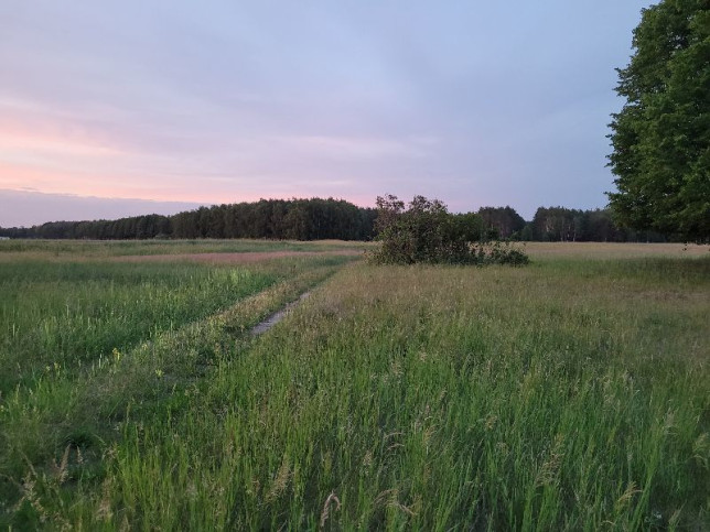 Działka Sprzedaż Lubczyna 1